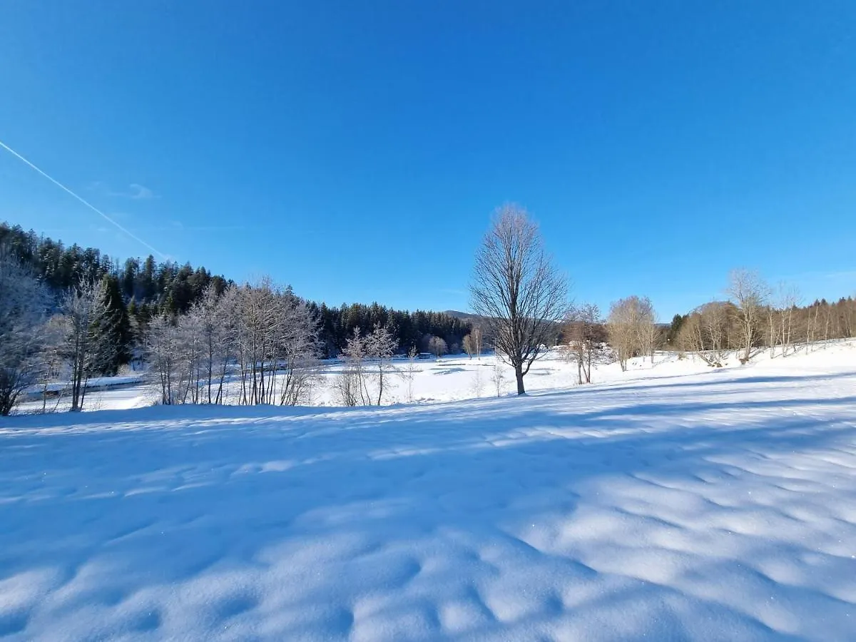 Holiday home Ferienhaus Mauth